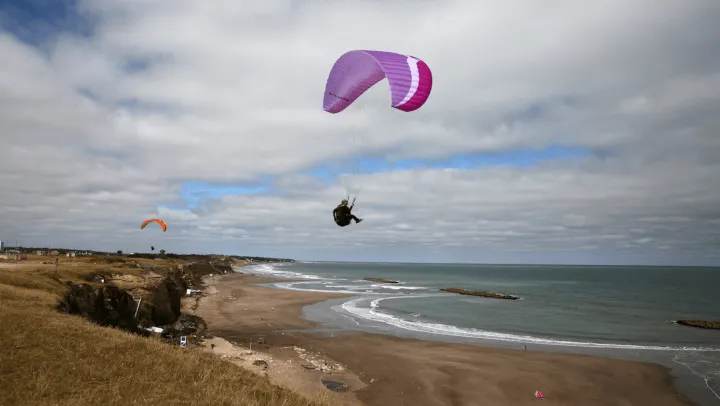 sin_txtulo_-_2024-08-06t153509_887.png_555400900