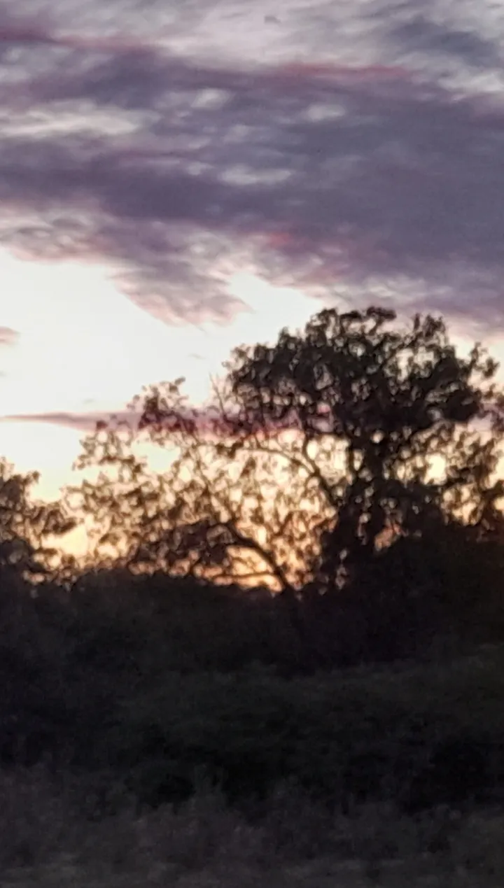 Screenshot_20240109_202128_Gallery