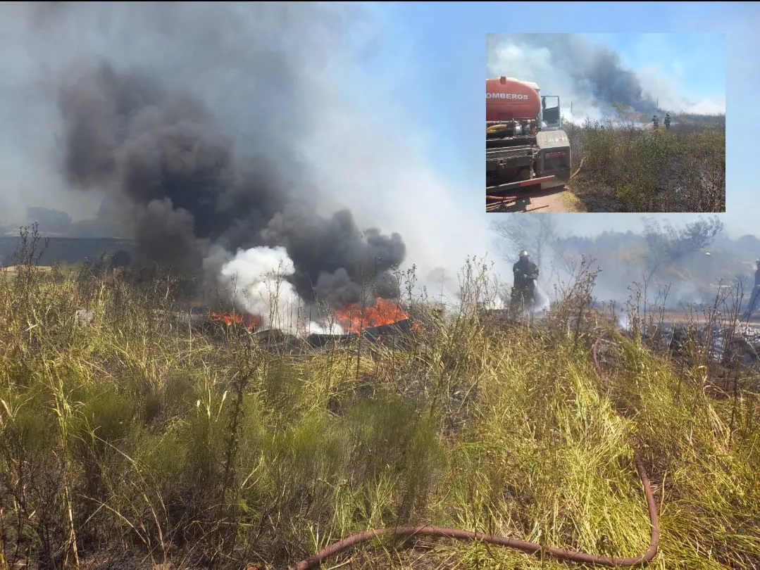 WhatsApp Image 2025-01-13 at 20.55.18