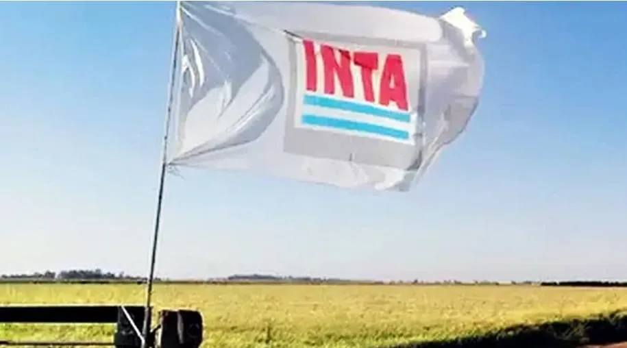Inta