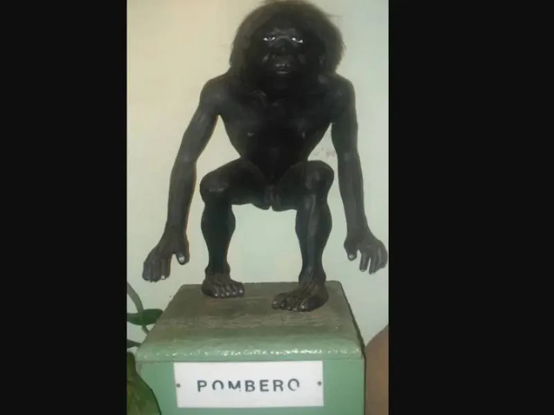 Proyecto-nuevo-2024-06-26T081617.642