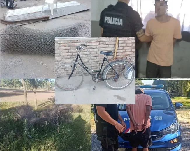 WhatsApp Image 2024-02-02 at 22.50.20