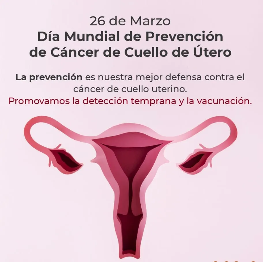 WhatsApp Image 2024-03-27 at 00.06.08