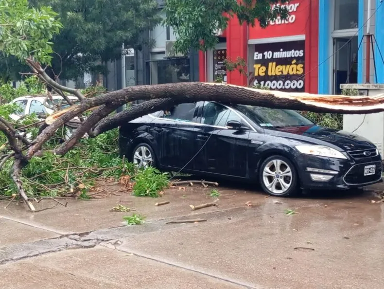 temporal-bragado (1)