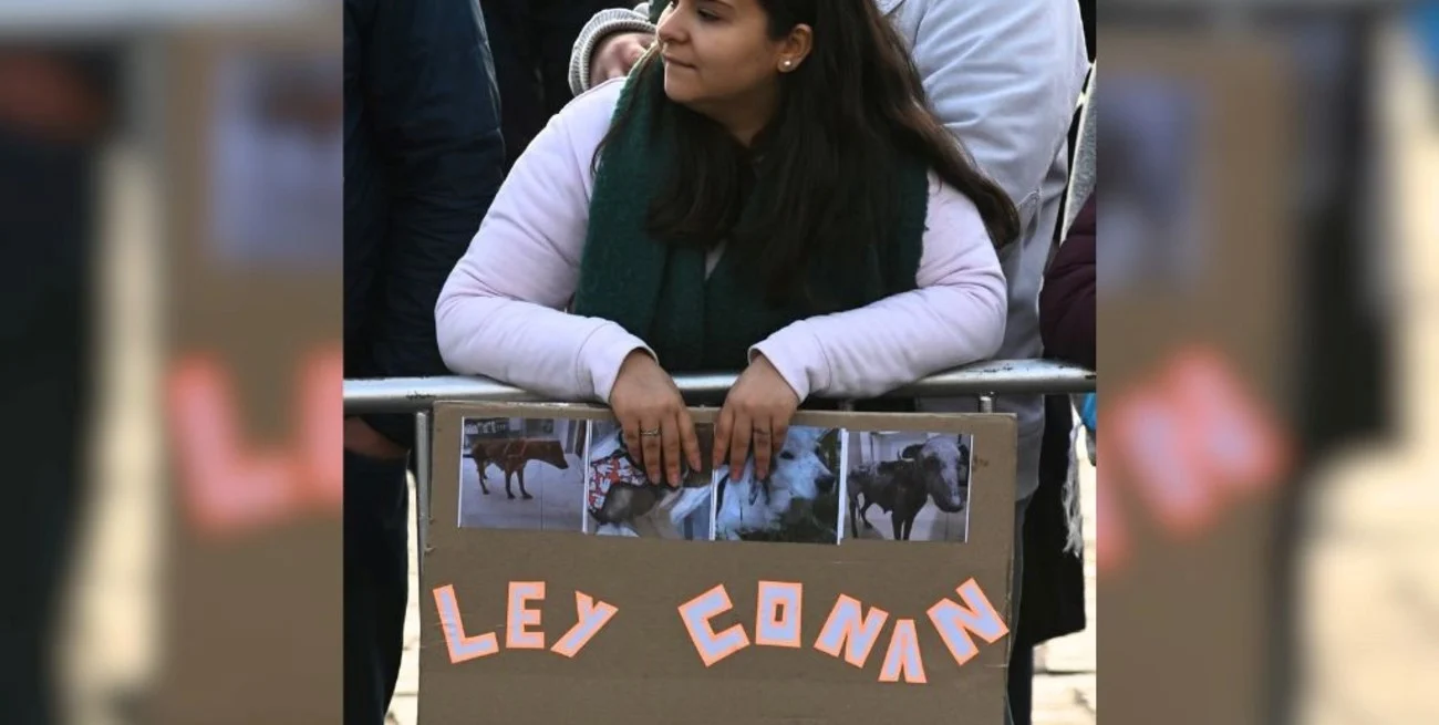 8SbXn6_q-_1300x655__1