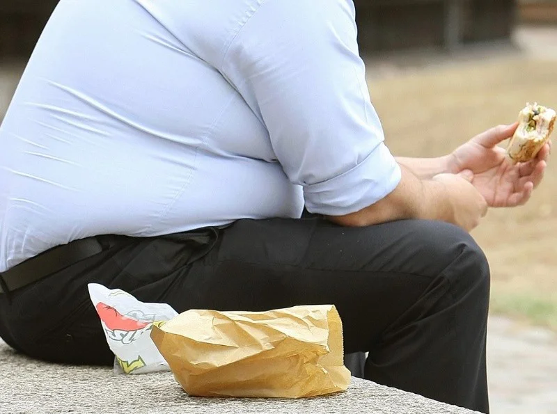 comida.jpg_331643462