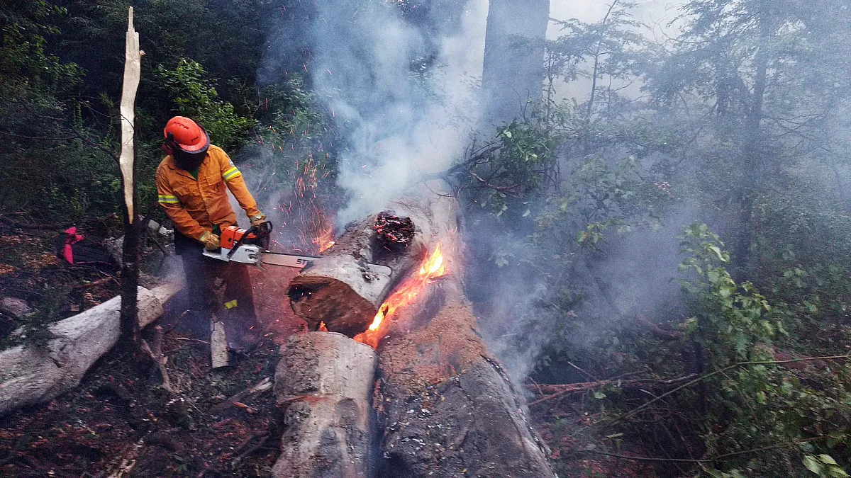 incendio-parque-lanin