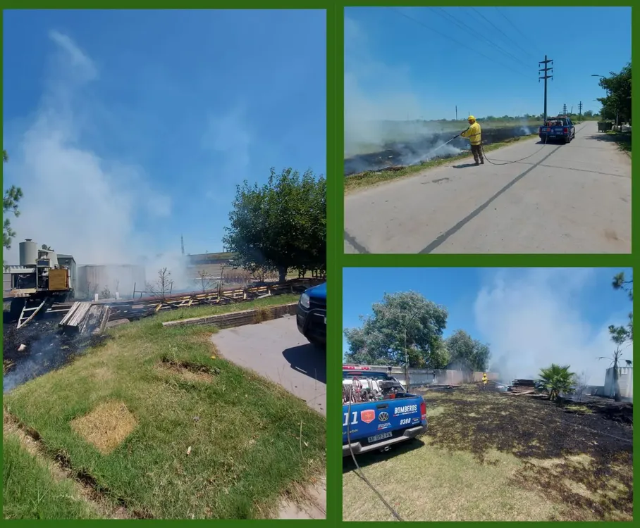 WhatsApp Image 2025-02-02 at 19.07.17