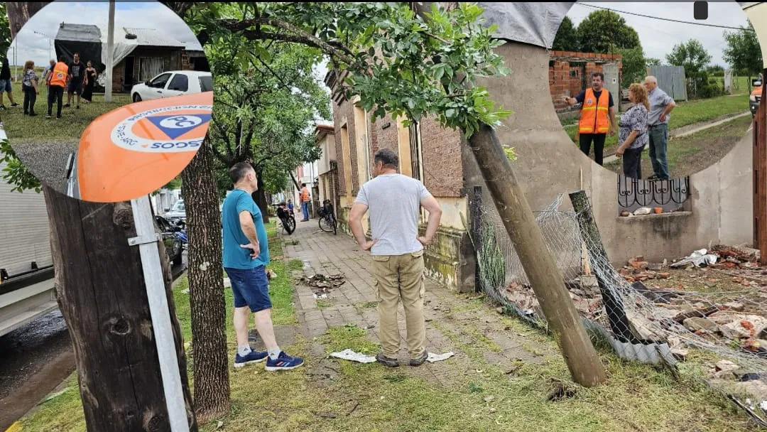 WhatsApp Image 2024-11-25 at 15.56.08