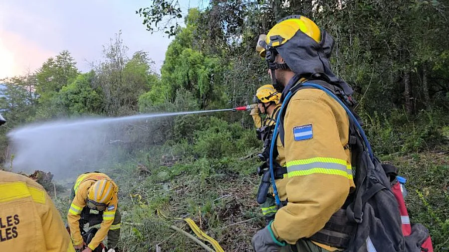 Proyecto-nuevo-2025-01-24T112150.786