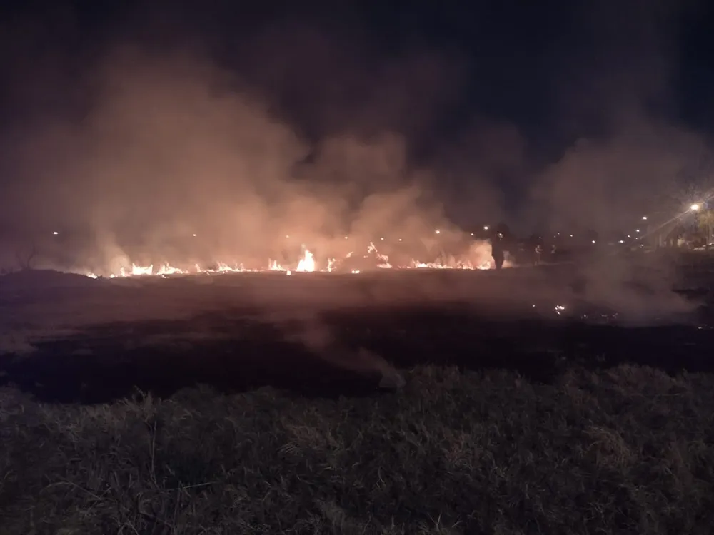 WhatsApp Image 2024-07-31 at 22.22.46