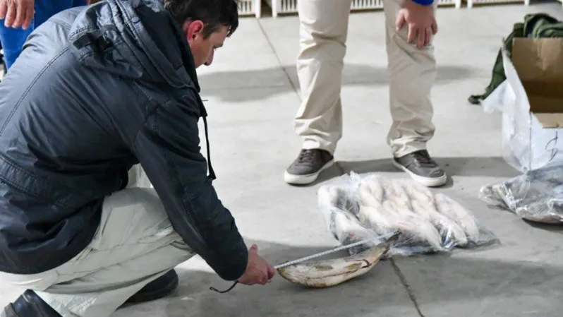 veda_sxbalo_2.jpg_695311890