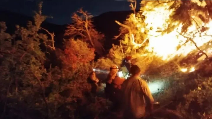 Screenshot_20240128_213058_Facebook