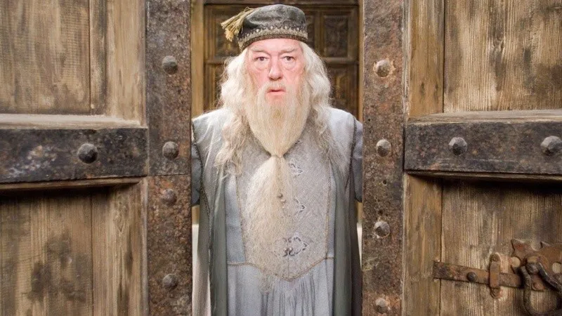 gambon.jpg_1756841869