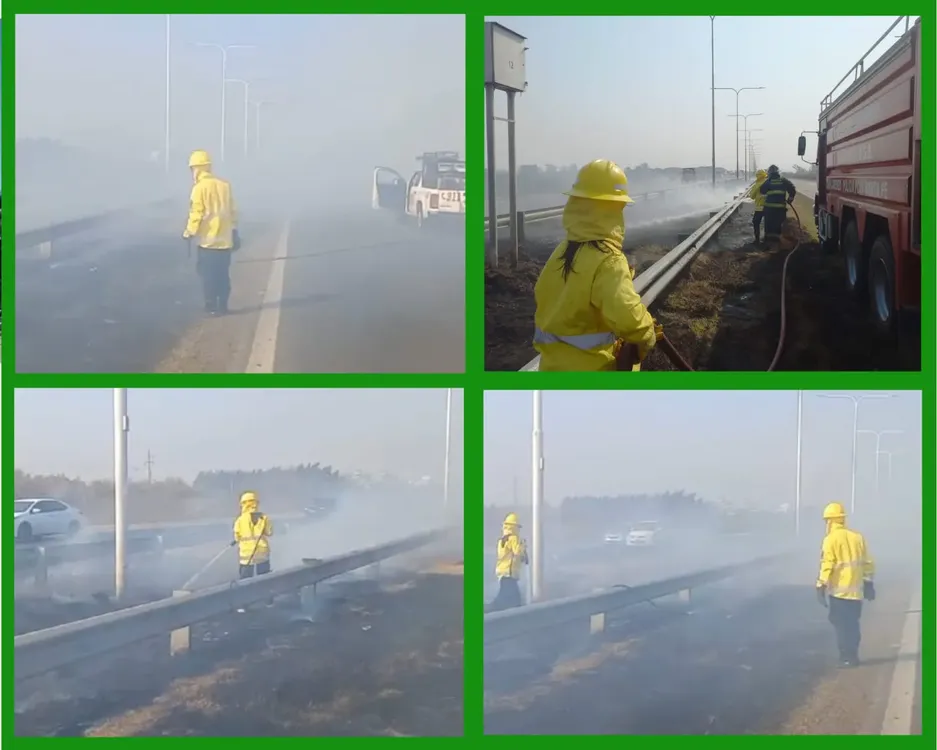 WhatsApp Image 2024-08-02 at 17.33.06