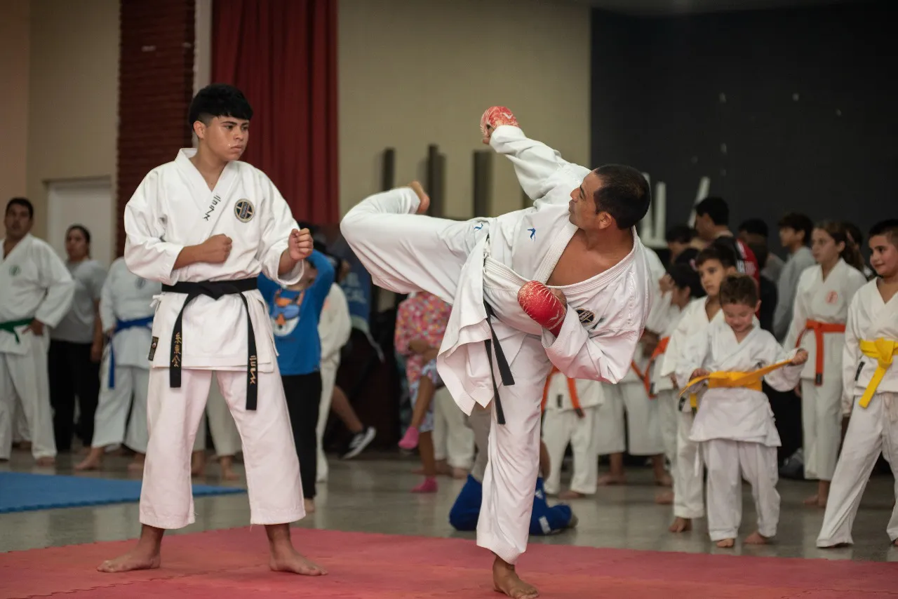 Artes marciales Timbúes