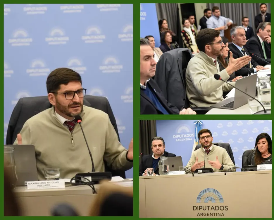 WhatsApp Image 2024-05-22 at 17.04.53