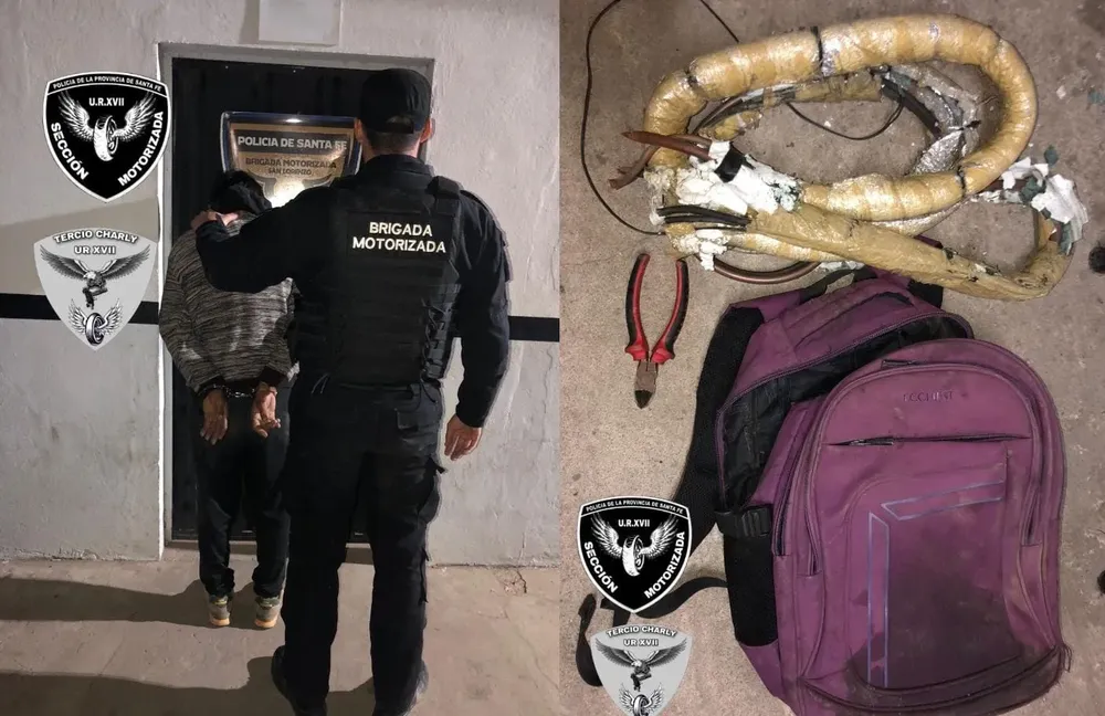 a555823d-da6d-473a-8e7e-fa00dbab90a6