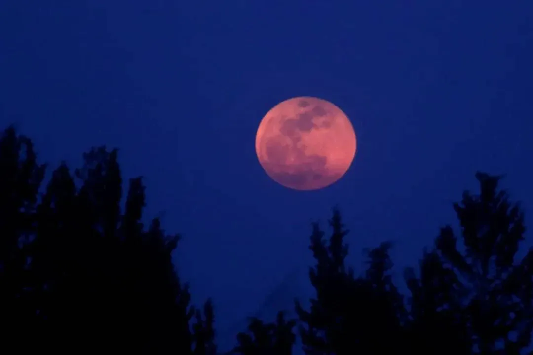 luna