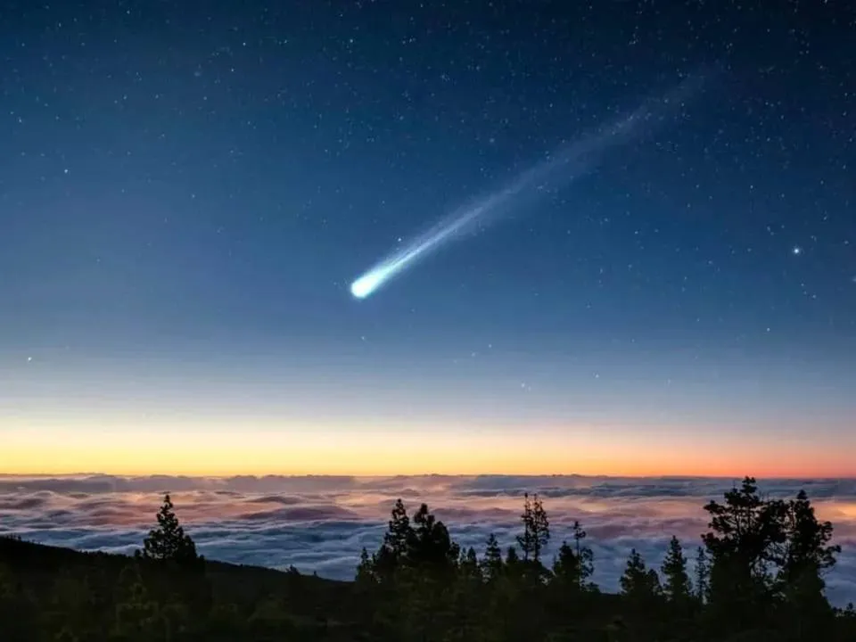 Proyecto-nuevo-2024-09-24T080728.957