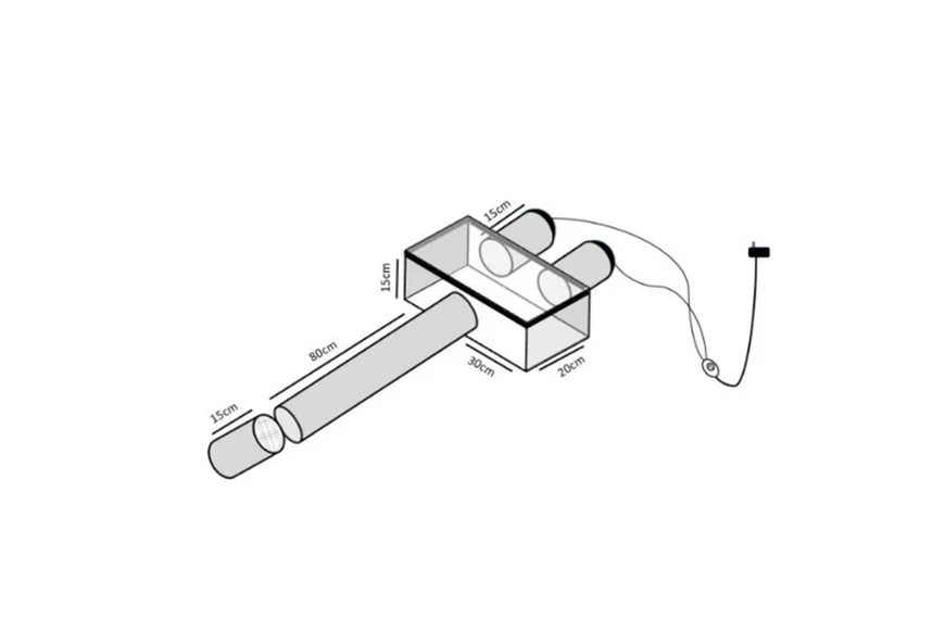 XwrVPe1mp_870x580__1