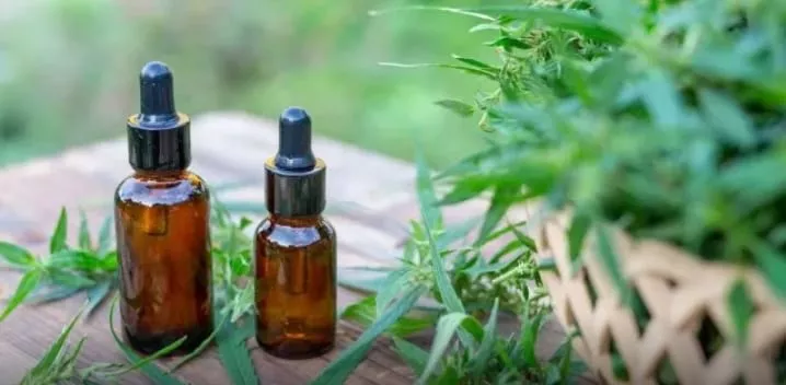 WhatsApp Image 2023-04-20 at 20.27.31