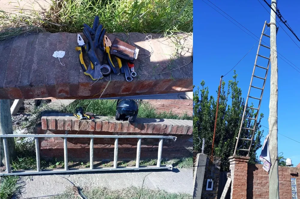 808ab124-d2e6-4283-8ff5-c66fd01cbe09