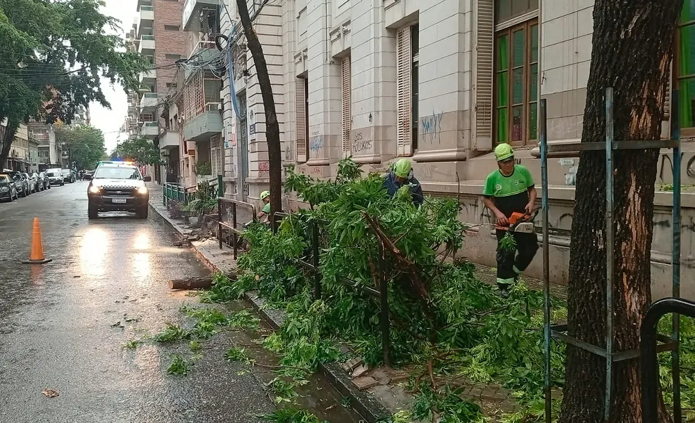 temporal-rosario