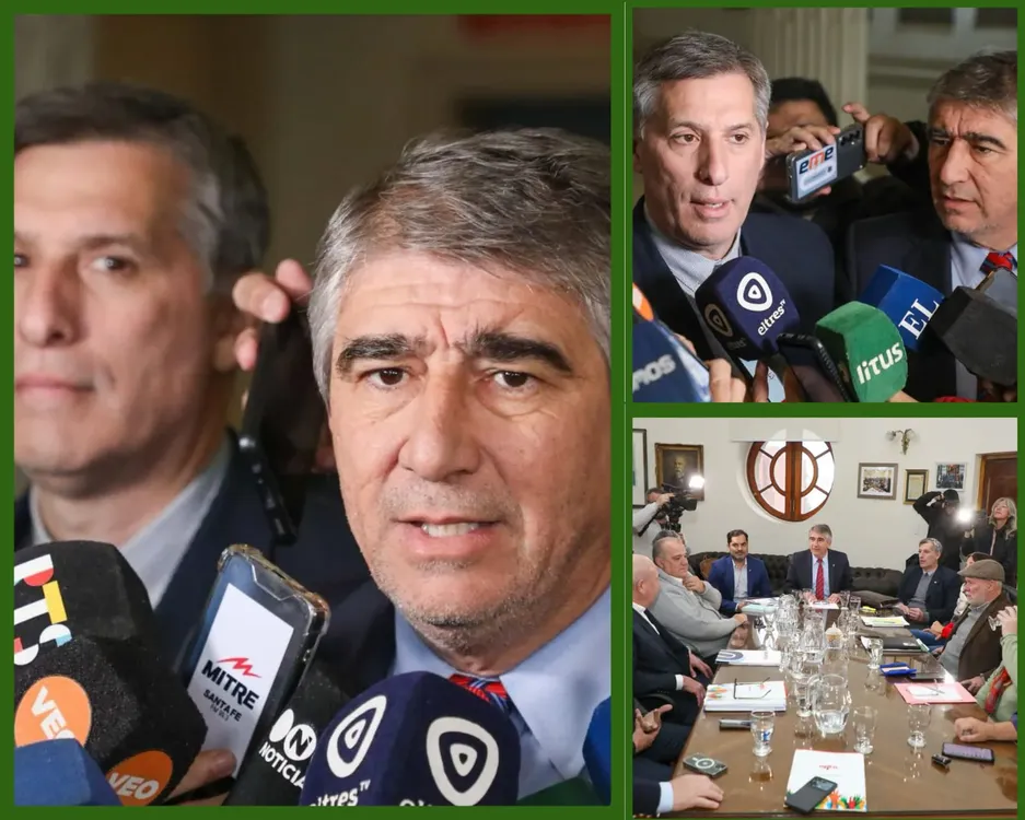 WhatsApp Image 2024-07-31 at 14.31.17