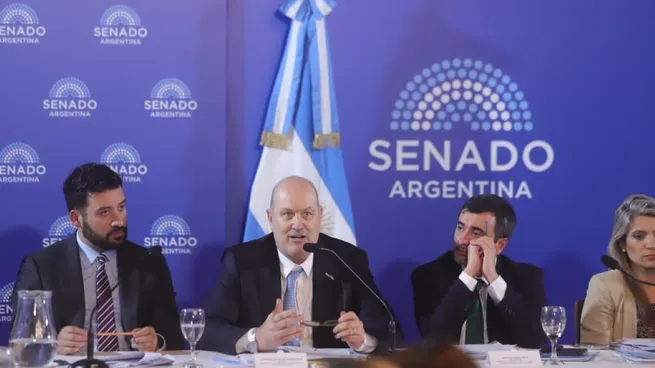 federico-sturzenegger-senado-agustin-coto