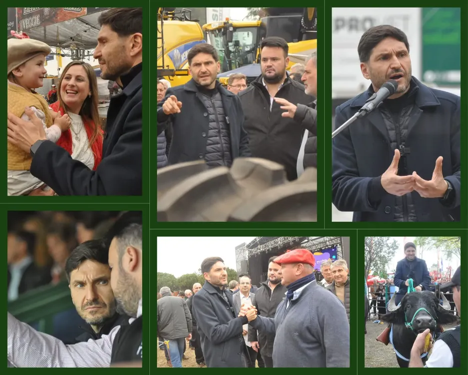 WhatsApp Image 2024-08-18 at 15.35.14