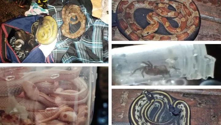 fotojet_1_crop1710268897696.jpg_1833193316