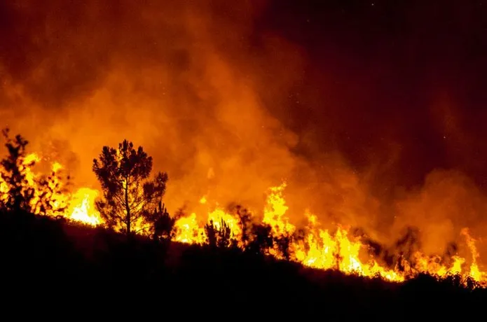 incendios-forestalesjpg