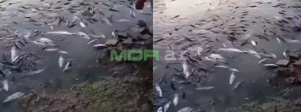 Captura de pantalla (46)