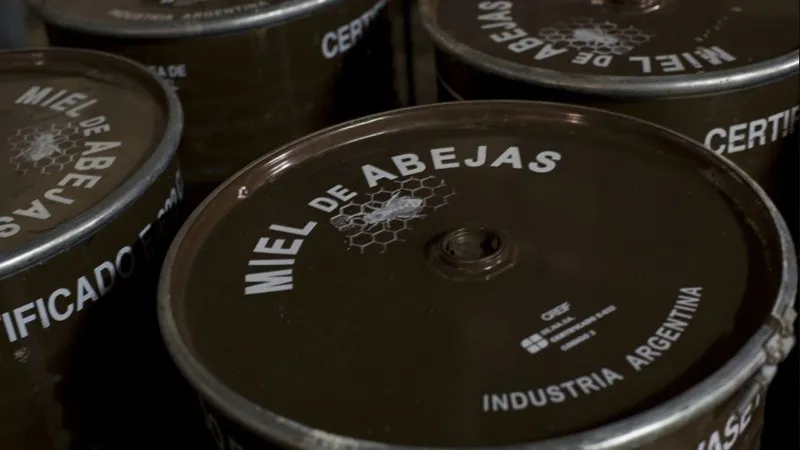 mieldeabejas_1.jpg_1756841869