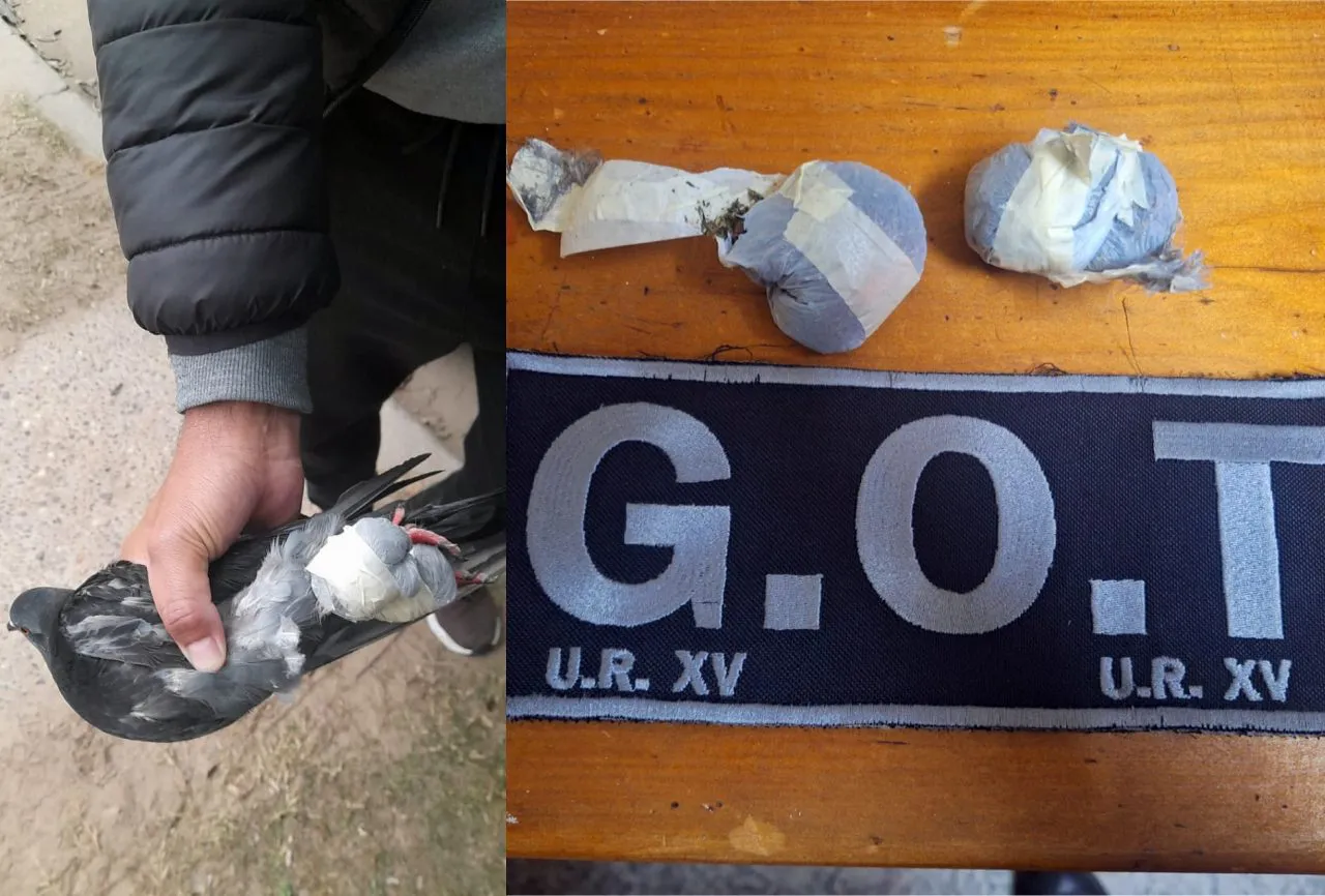 Proyecto-nuevo-2024-07-23T080928.661-1280x866