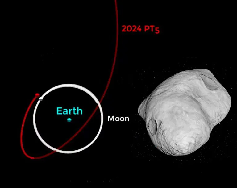 Proyecto-nuevo-2024-09-19T091031.228-768x609