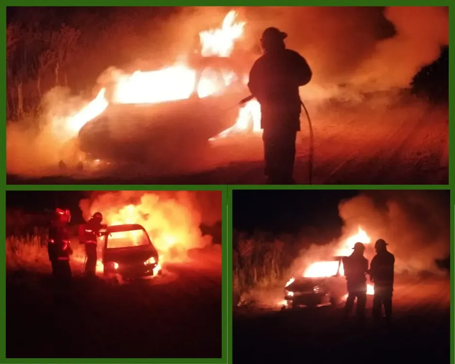 WhatsApp Image 2025-01-11 at 19.28.04