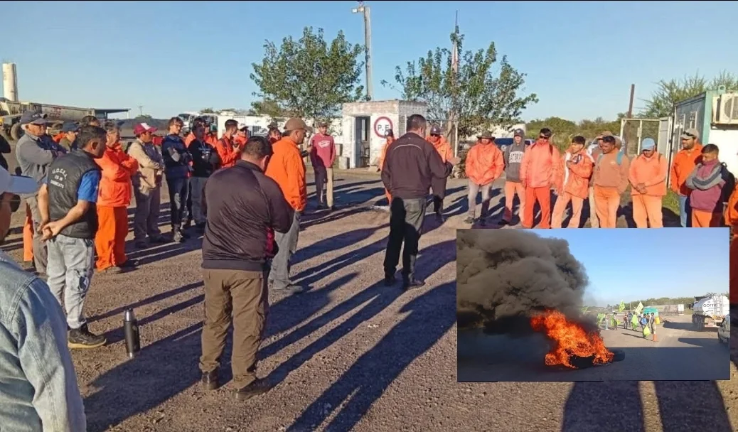 WhatsApp Image 2026-04-01 at 16.20.12