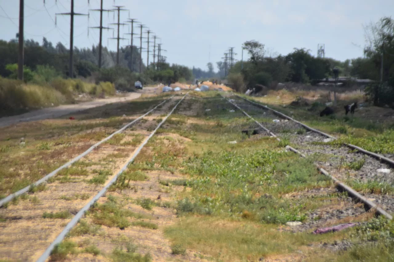 WhatsApp Image 2023-03-18 at 13.03.43 (1)