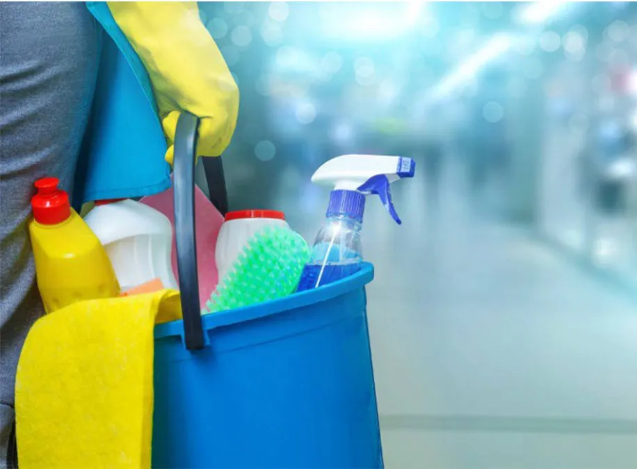 empleo-domestico-h