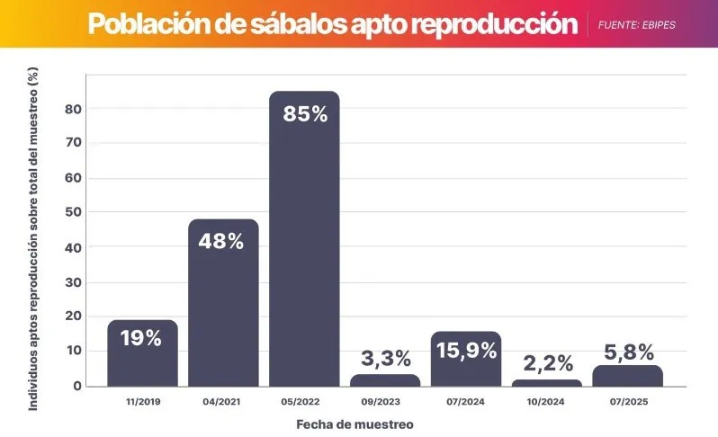 paranx_pesca_2.jpg_583565849