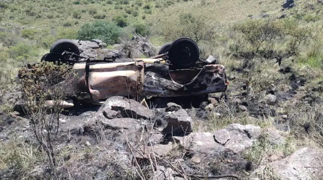 WhatsApp Image 2025-01-12 at 11.13.16