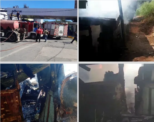 Screenshot_20240126_111722_Canva