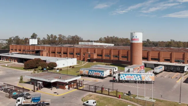 planta-pilar-bimbo-jpg