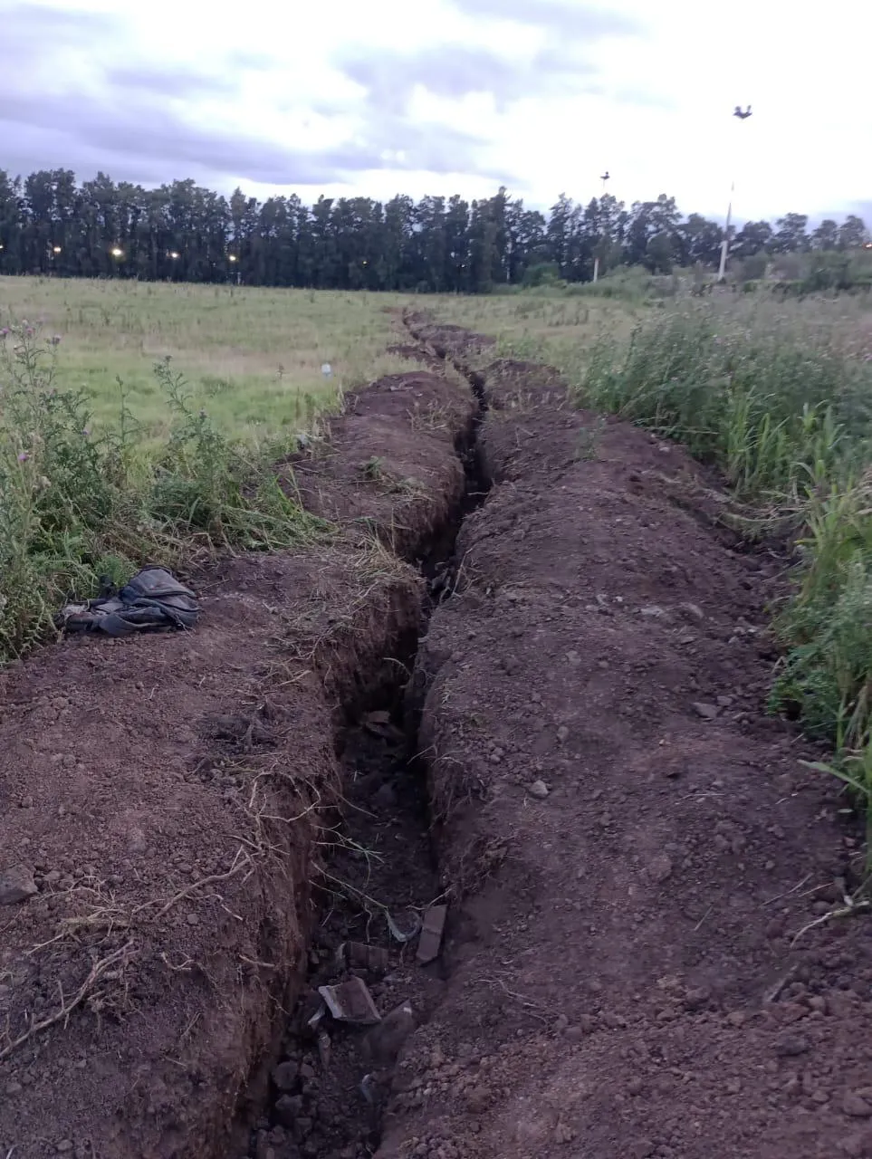 Imagen de WhatsApp 2023-12-15 a las 06.43.18_59bec0e9