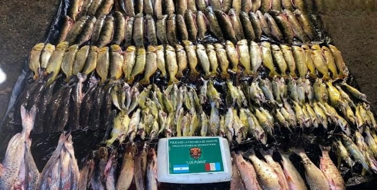 SL1OePyQ3_1300x655__1