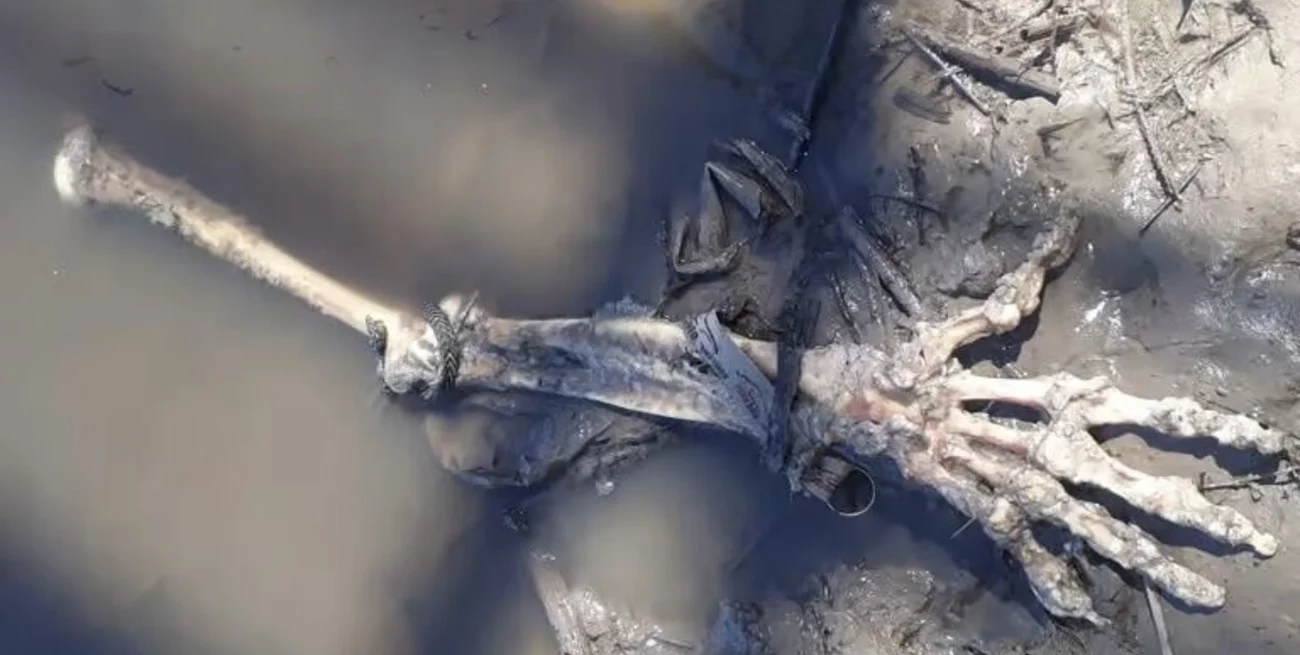 aRMoz57Ud_1300x655__1