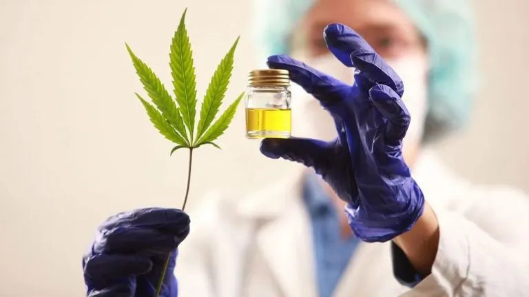 cannabis-medicinal-farmacity2221200jpg-768x432