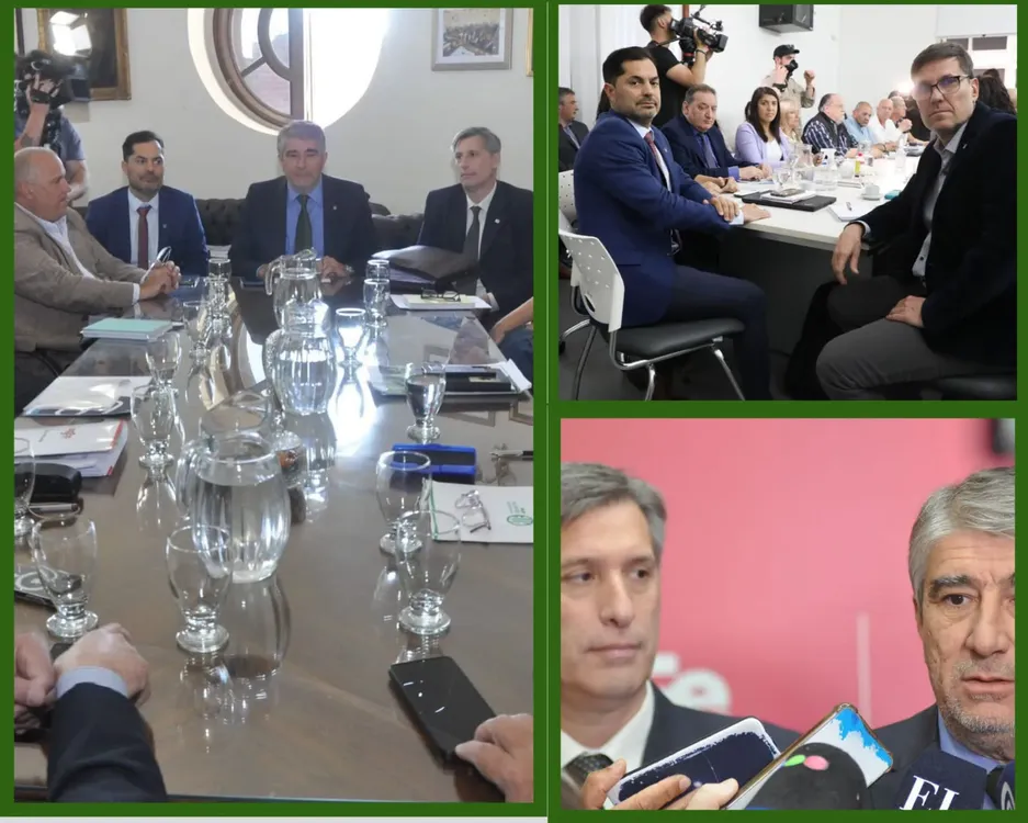 WhatsApp Image 2024-10-03 at 18.53.46